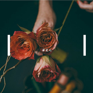 成人❌❌❌免费🔞视频
