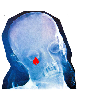 成人❌❌❌免费🔞视频
