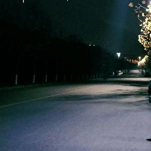 成人❌❌❌免费🔞视频
