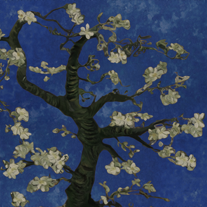 成人❌❌❌免费🔞视频
